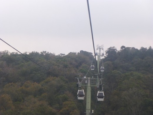 Parque Arvi is a huge area of forest on the edge of the city.