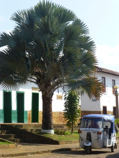 No, not India but South America.