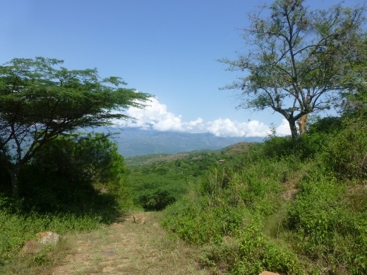 The Camino Real to Guane.