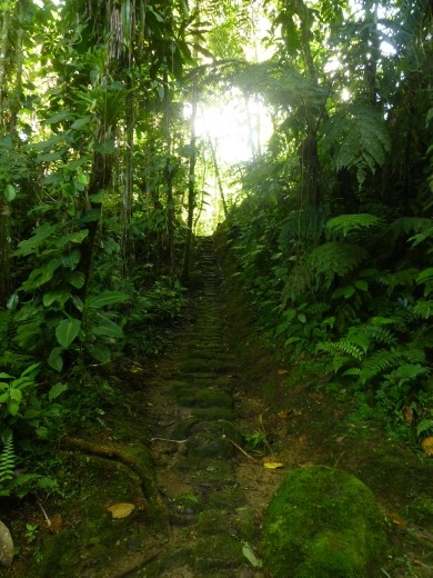 The sun coming up in the lost city.