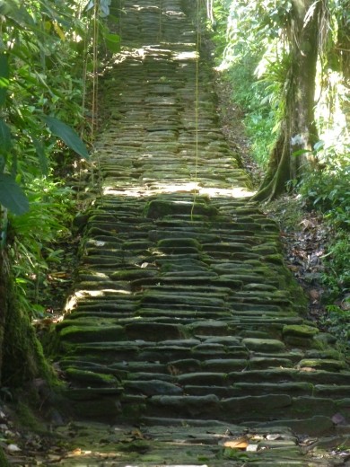 Mant steps to get to the lost city.