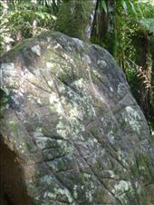 This stone is actually a map, but tricky to fit in your pocket!: by steve_and_emma, Views[340]