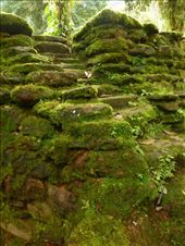 by steve_and_emma, Views[443]