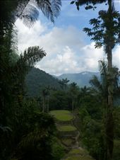 by steve_and_emma, Views[414]