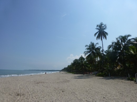 Now that's a beach, Palomino comes up to standard.