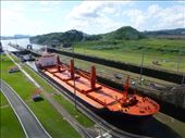 A bulk ship entering Miraflres Lock.: by steve_and_emma, Views[656]