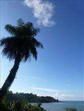 Drake Bay.: by steve_and_emma, Views[408]