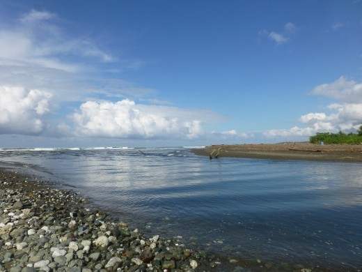 Their are bull sharks here but we didn't see them unfortunately.