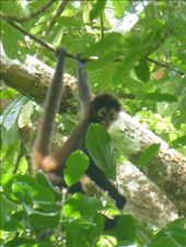 by steve_and_emma, Views[359]