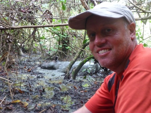 I was very happy to finally see a tapir after many years of searching in Malaysia and also Peru.