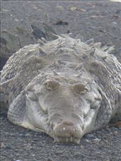 by steve_and_emma, Views[300]