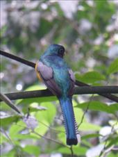 by steve_and_emma, Views[477]