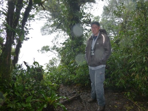 Nothing but clouds in the cloud forest.