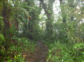 The muddy trails of Santa Elena Reserve.: by steve_and_emma, Views[509]