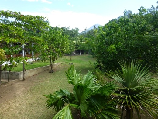 The garden at Hospedaje Soma.