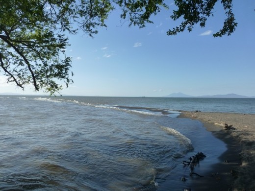 We spent the afternoon at the beach.
