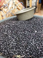 More beans.: by steve_and_emma, Views[378]