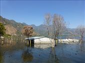 The lake has risen 5 metres in 2 years!: by steve_and_emma, Views[533]