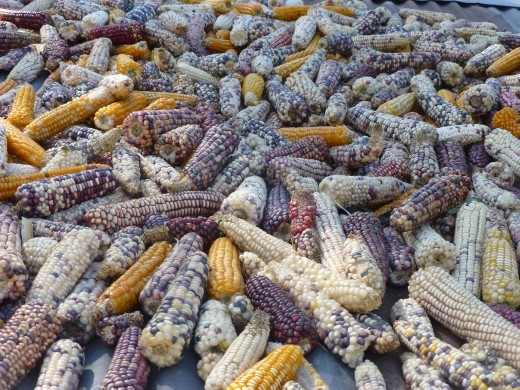 No corny description for this photo.