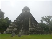The Grand Plaza at Tikal.: by steve_and_emma, Views[431]