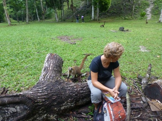 Where have you gone?