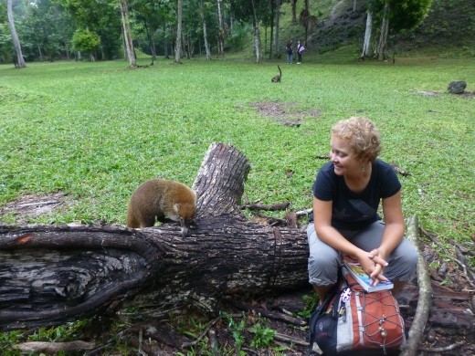 Are there you are again, a coati plays tricks on Emma.