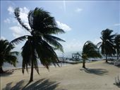 Caye caulker is a nice spot to spend a few days.: by steve_and_emma, Views[500]