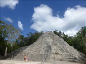 The ruins at Coba were pretty impressive.: by steve_and_emma, Views[305]