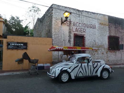 A cool beatle in Valladolid.
