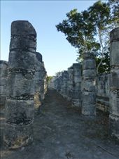 by steve_and_emma, Views[310]