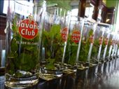 Mojito anyone?: by steve_and_emma, Views[363]