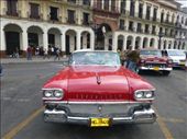 We just had to have a spin around Havana in a classic car.: by steve_and_emma, Views[335]