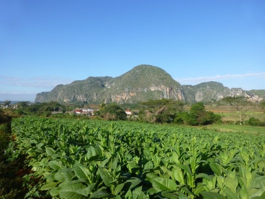 Vinales was a nice quiet spot to end the trip.