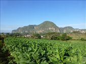 Vinales was a nice quiet spot to end the trip.: by steve_and_emma, Views[315]