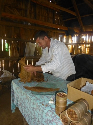 We learnt how to make cigars.