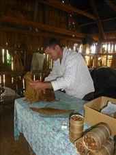 We learnt how to make cigars.: by steve_and_emma, Views[344]