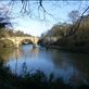 We enjoyed a nice walk along the river Wear. Views[234]