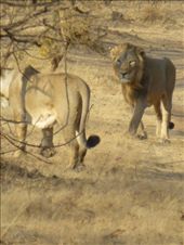 by steve_and_emma, Views[407]