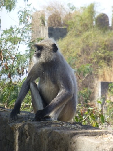 What shall we do today?