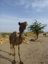 by steve_and_emma, Views[358]