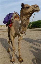 by steve_and_emma, Views[354]