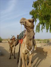 by steve_and_emma, Views[381]