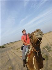 by steve_and_emma, Views[313]