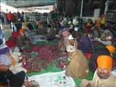 They feed about 100,000 people a day at the temple. This is just the onion chopping area!: by steve_and_emma, Views[301]
