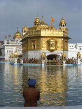 Taking a holy dip.: by steve_and_emma, Views[403]