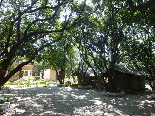 Corbett Motel is a nice place to stay in Ramnagar.