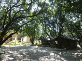 Corbett Motel is a nice place to stay in Ramnagar.: by steve_and_emma, Views[381]