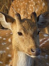 by steve_and_emma, Views[354]