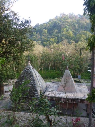 We had a plan B and visited this temple in the forest.