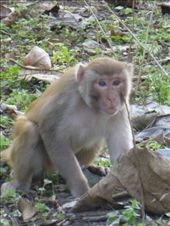 by steve_and_emma, Views[409]